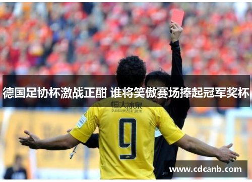 德国足协杯激战正酣 谁将笑傲赛场捧起冠军奖杯