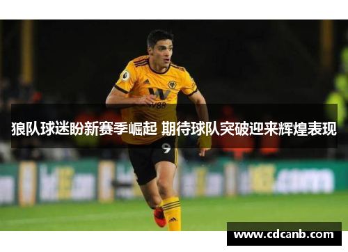 狼队球迷盼新赛季崛起 期待球队突破迎来辉煌表现