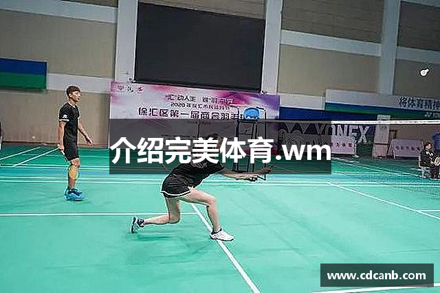 介绍完美体育.wm